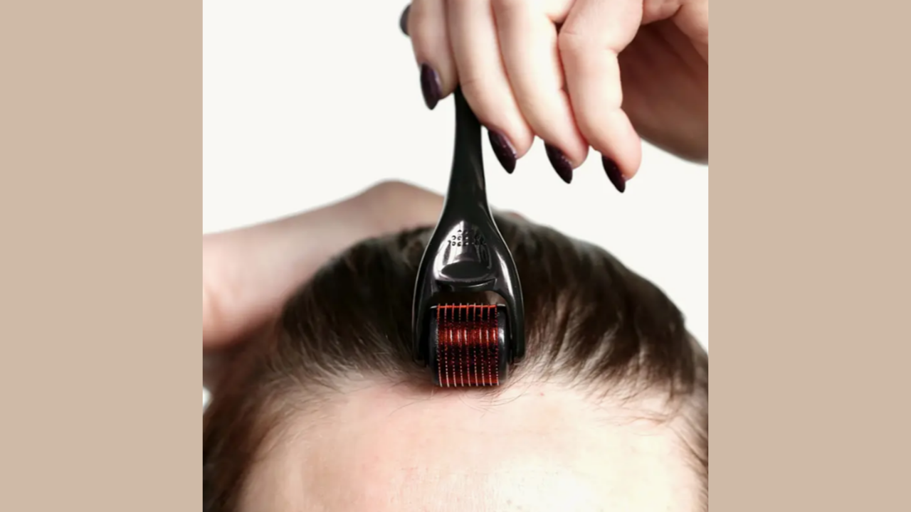 Stainless Steel Roller